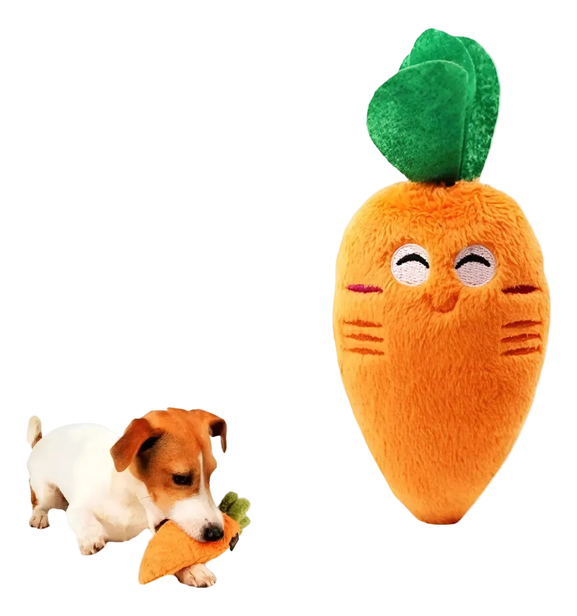 Carrot Zen