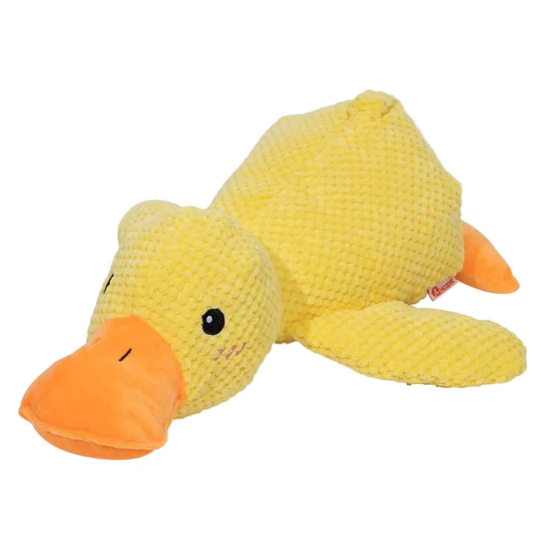 Zen Pet | Porque cuando vos no estás, él también te extraña