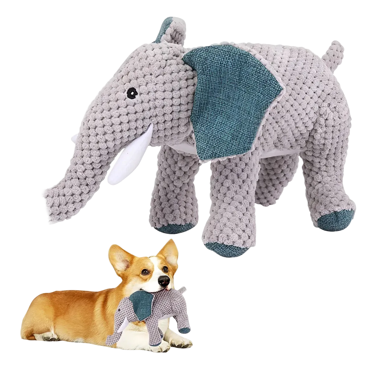 Dumbo Zen