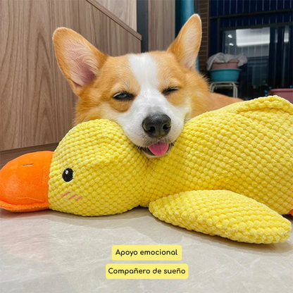 Zen Pet | Porque cuando vos no estás, él también te extraña
